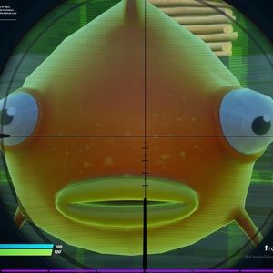 Meet your Posher, Angelo